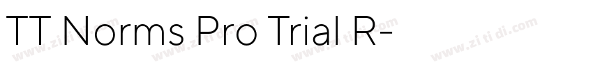 TT Norms Pro Trial R字体转换
